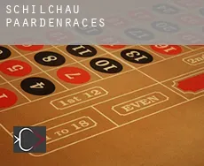 Schilchau  paardenraces
