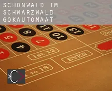 Schönwald im Schwarzwald  gokautomaat