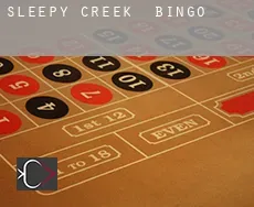 Sleepy Creek  bingo