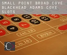 Small Point-Broad Cove-Blackhead-Adams Cove  slots
