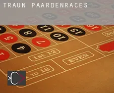 Traun  paardenraces