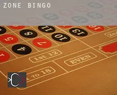 Zone  bingo