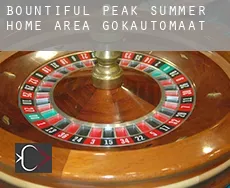 Bountiful Peak Summer Home Area gokautomaat