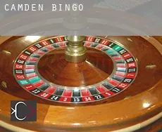 Camden  bingo