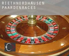 Riethnordhausen paardenraces