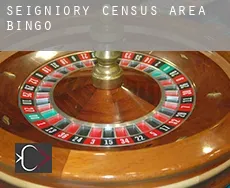 Seigniory (census area)  bingo