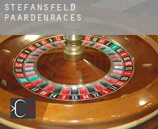 Stefansfeld paardenraces