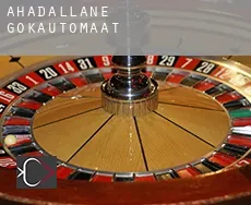 Ahadallane gokautomaat
