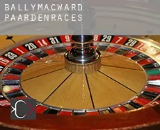 Ballymacward paardenraces