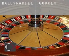 Ballynakill  gokken
