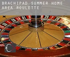 Brachipad Summer Home Area  roulette