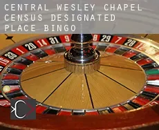 Central Wesley Chapel  bingo
