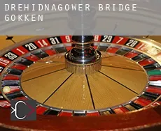 Drehidnagower Bridge  gokken