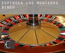 Espinosa de los Monteros  bingo