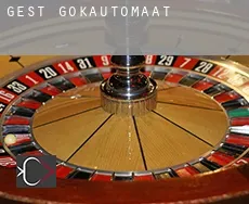 Gest  gokautomaat