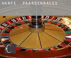 Harfe  paardenraces