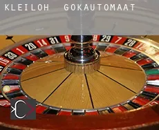 Kleiloh  gokautomaat