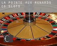 Pointe-aux-Renards (census area)  slots