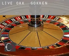 Live Oak  gokken
