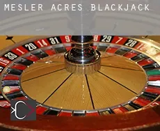 Mesler Acres  blackjack