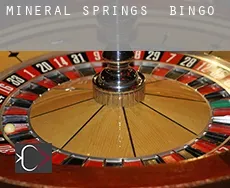 Mineral Springs  bingo