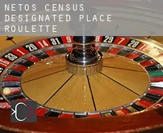 Netos  roulette