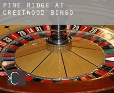 Pine Ridge at Crestwood  bingo