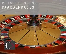 Reiselfingen paardenraces