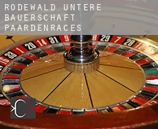 Rodewald-Untere Bauerschaft  paardenraces