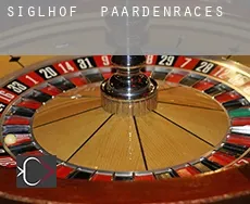 Siglhof  paardenraces