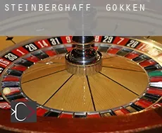 Steinberghaff gokken