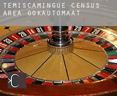 Témiscamingue (census area)  gokautomaat