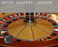 Unter Schwarz  gokken