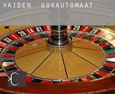 Vaiden gokautomaat