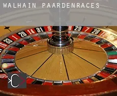 Walhain  paardenraces