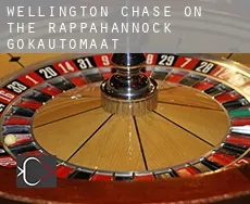 Wellington Chase on the Rappahannock  gokautomaat