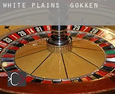 White Plains  gokken