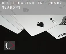 Beste casino in Crosby Meadows