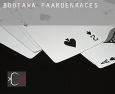 Bootawa paardenraces