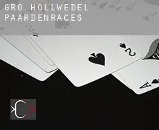 Groß Hollwedel  paardenraces