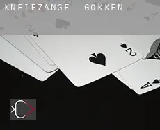 Kneifzange gokken