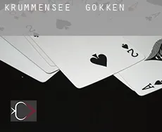 Krummensee  gokken