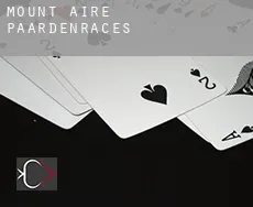 Mount Aire  paardenraces