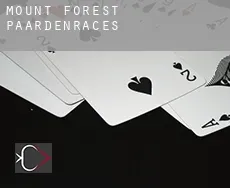 Mount Forest  paardenraces