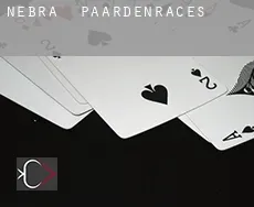 Nebra paardenraces