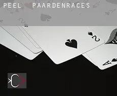 Peel  paardenraces
