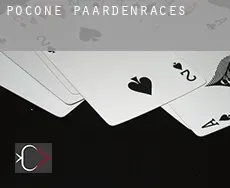 Poconé  paardenraces