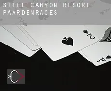 Steel Canyon Resort  paardenraces