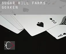 Sugar Hill Farms  gokken