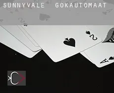 Sunnyvale  gokautomaat